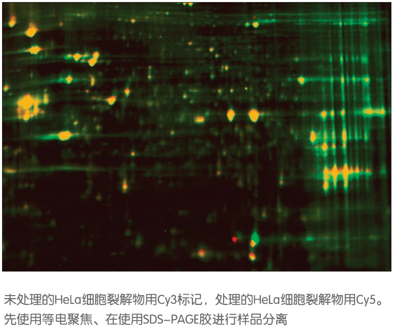 image003.png