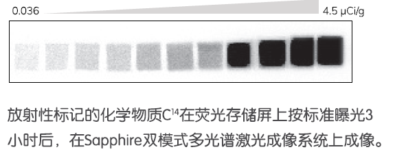 image008.png