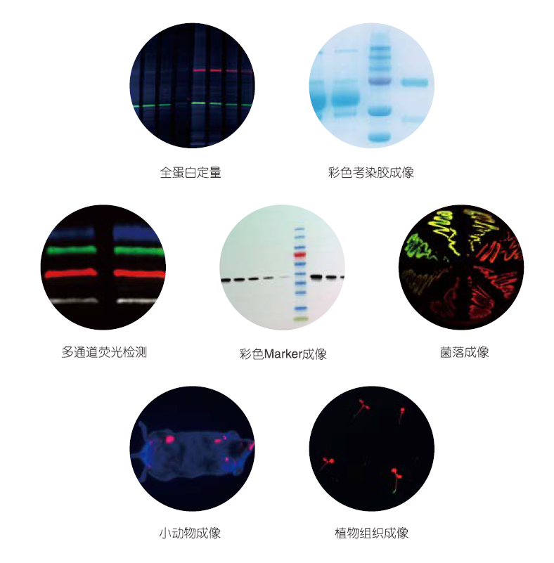 image003.png