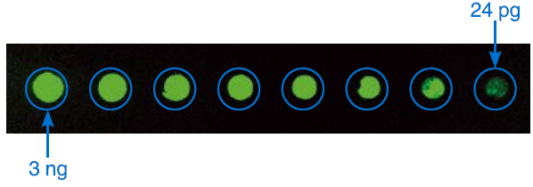 image005.png