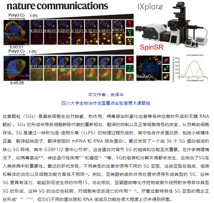 1742538645344091.png image.png