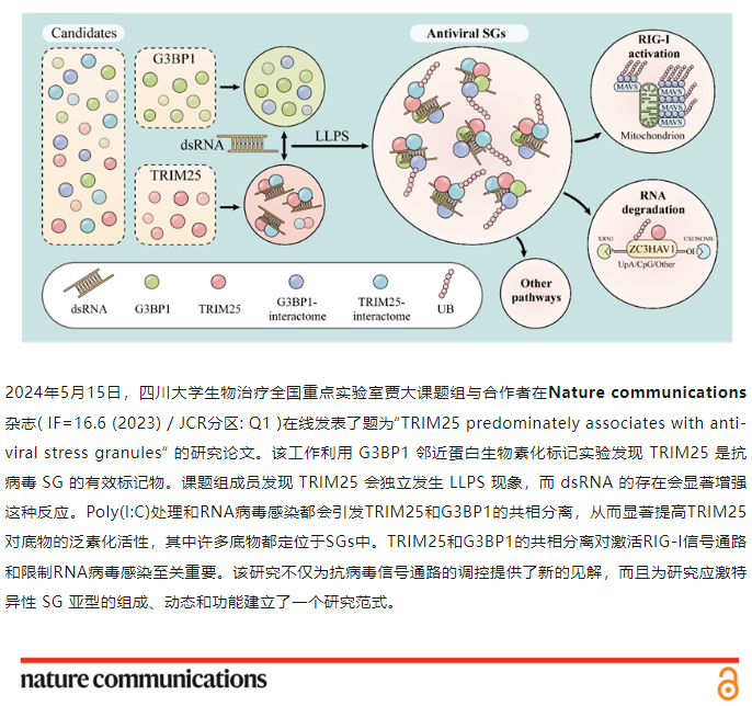 1742538667392369.png image.png