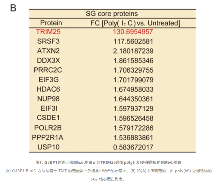 1742538711412988.png image.png