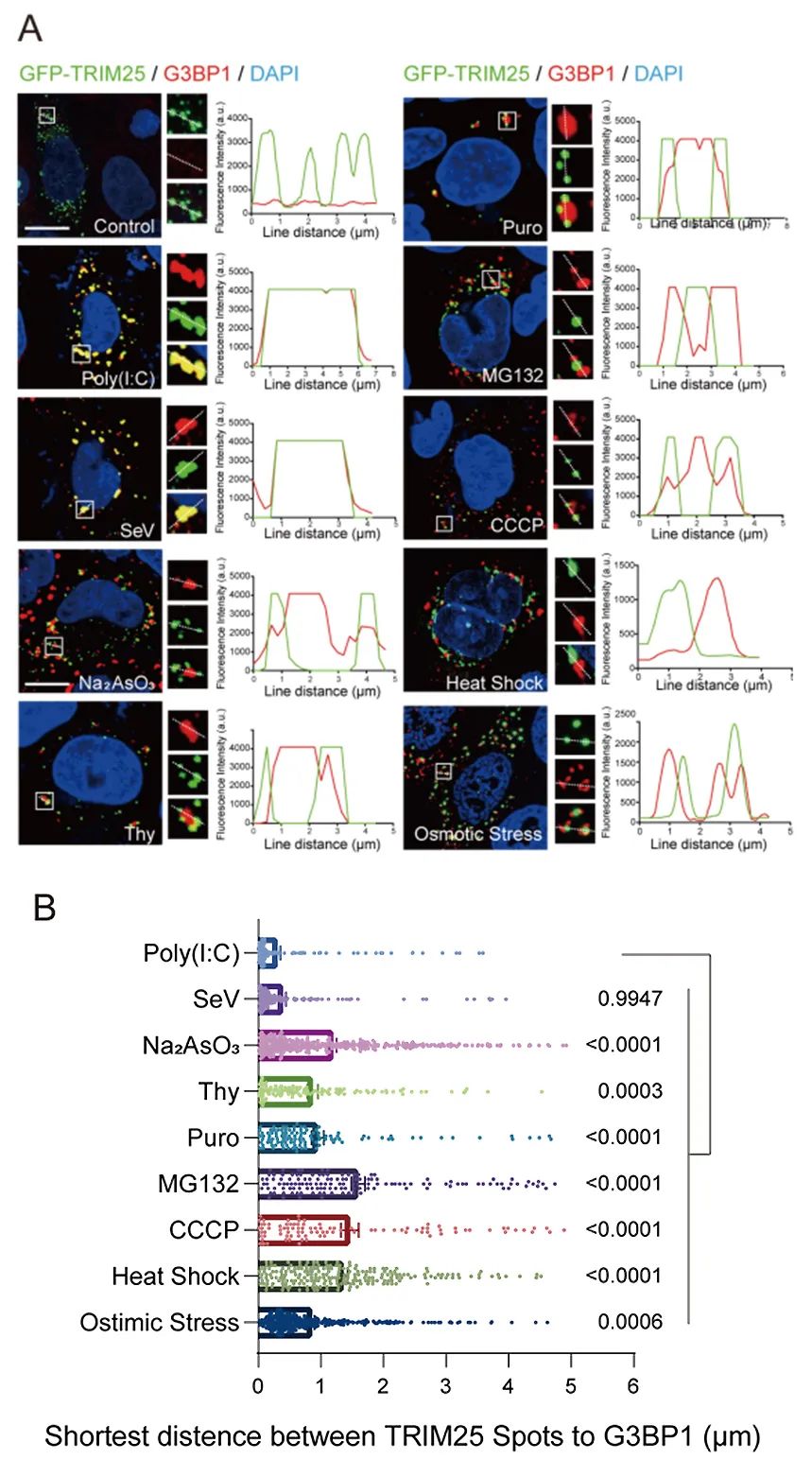 1742538734265308.jpg 207cd397903f2c1213173e600b9e9ae7.jpg