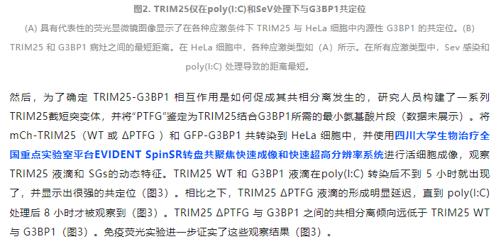 1742538798800591.png image.png