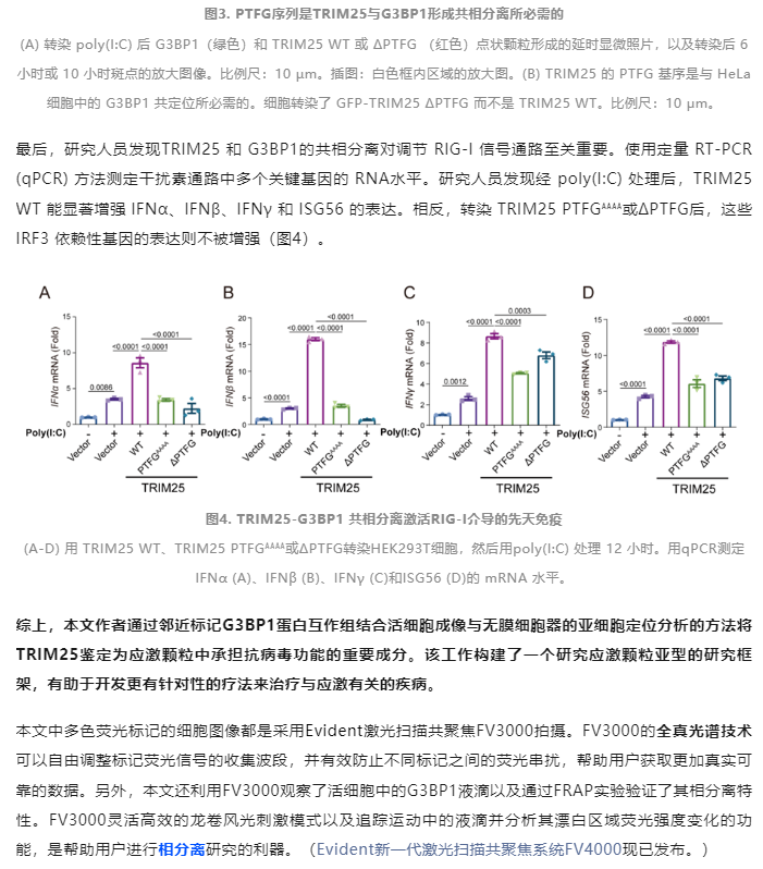 1742538886966269.png image.png