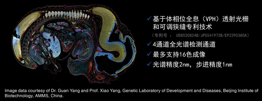 1742538931164639.png 611973d68ac6f52350f92433a0d628df.png